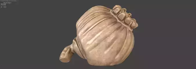 Clay Poppy Decoration 3D model 5