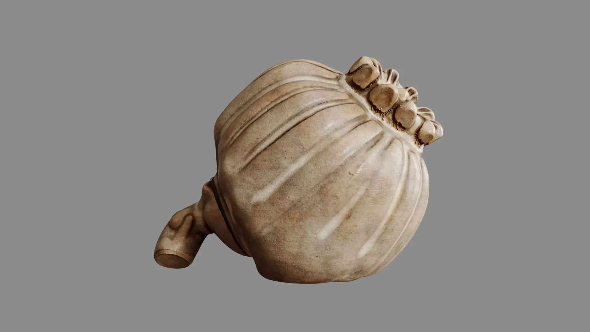 Clay Poppy Decoration 3D model_0