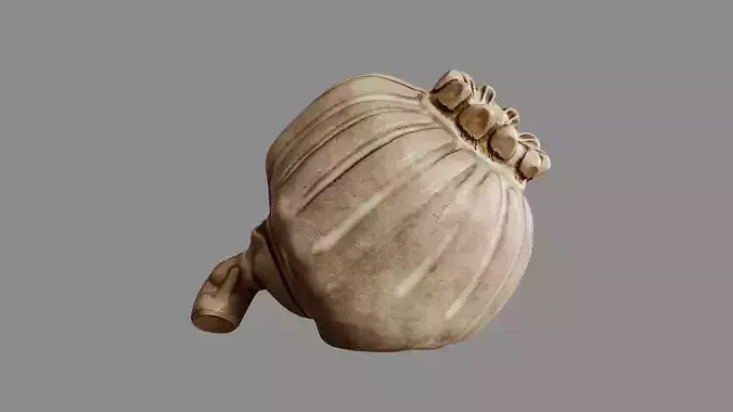 Clay Poppy Decoration