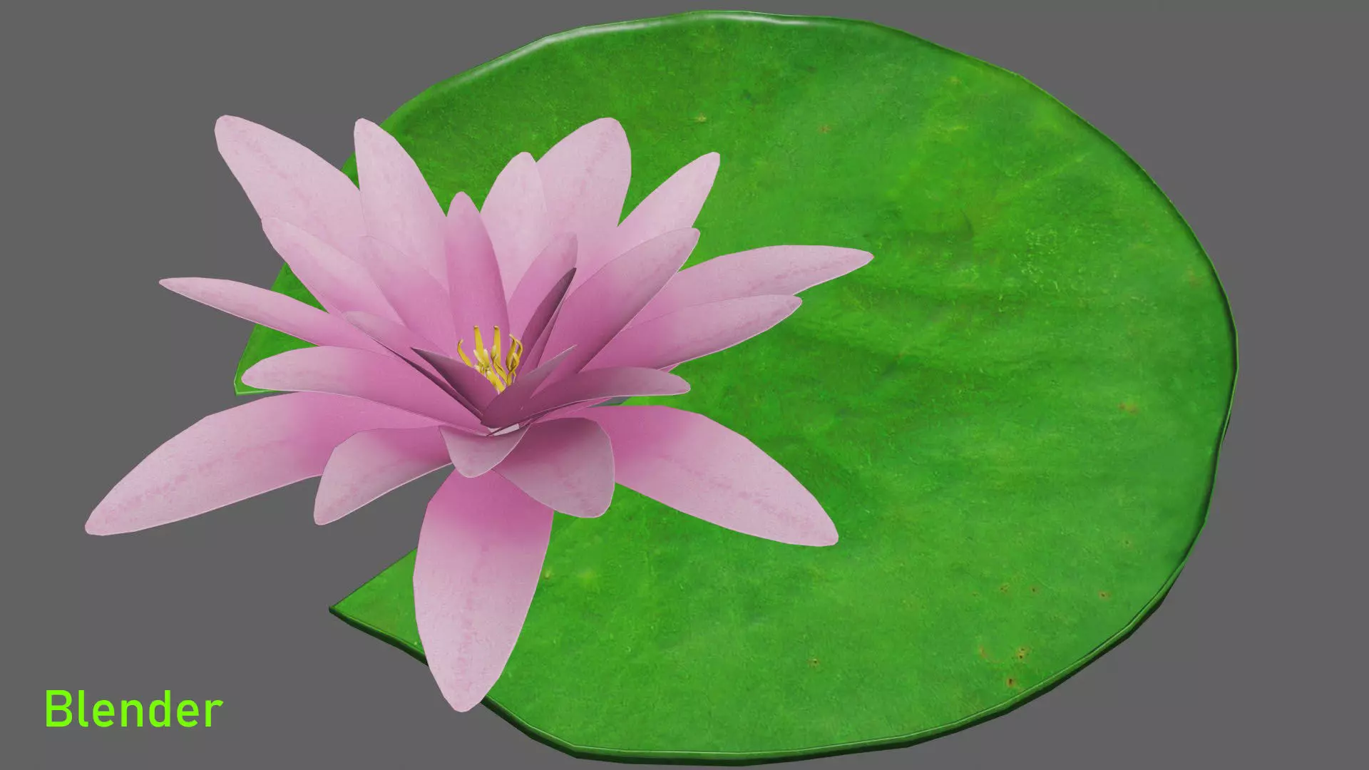 Water Lily Low-poly 3D model_13
