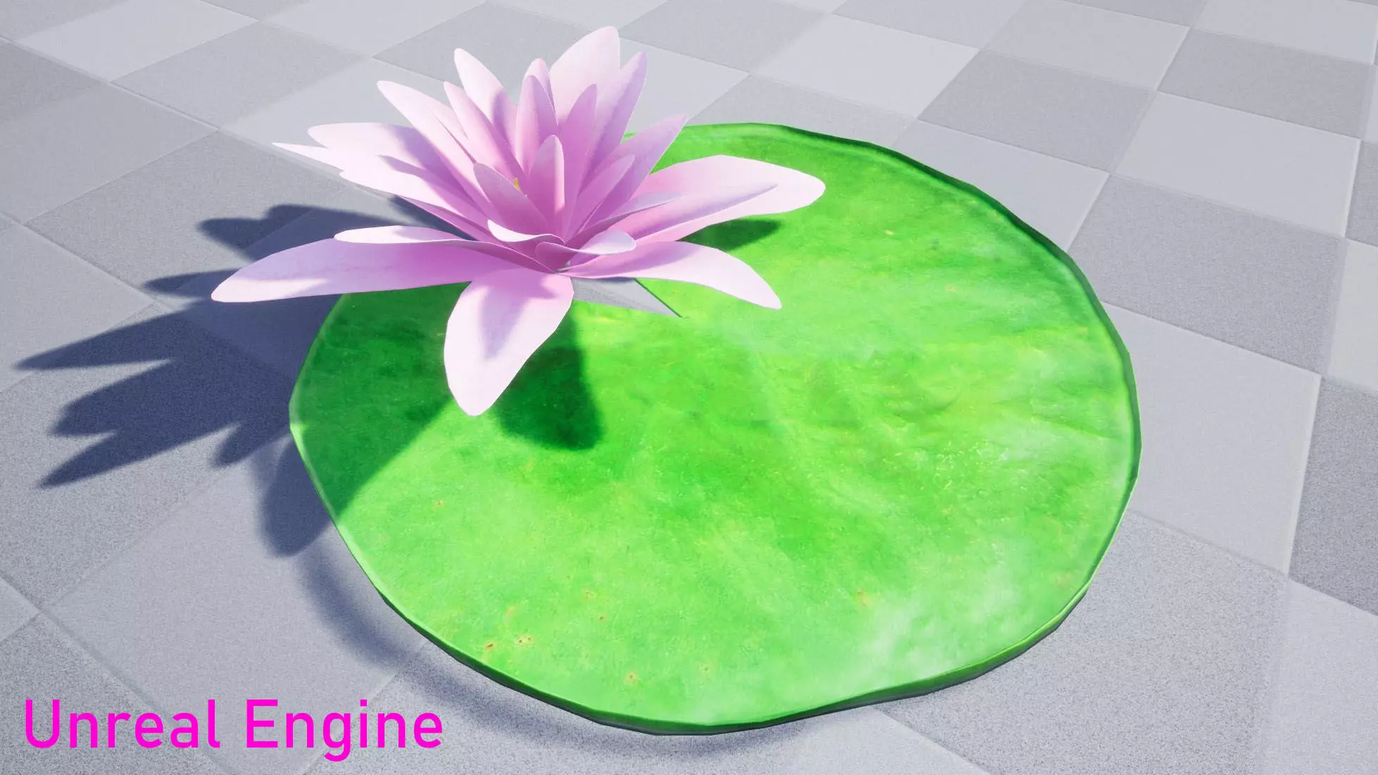 Water Lily Low-poly 3D model_12