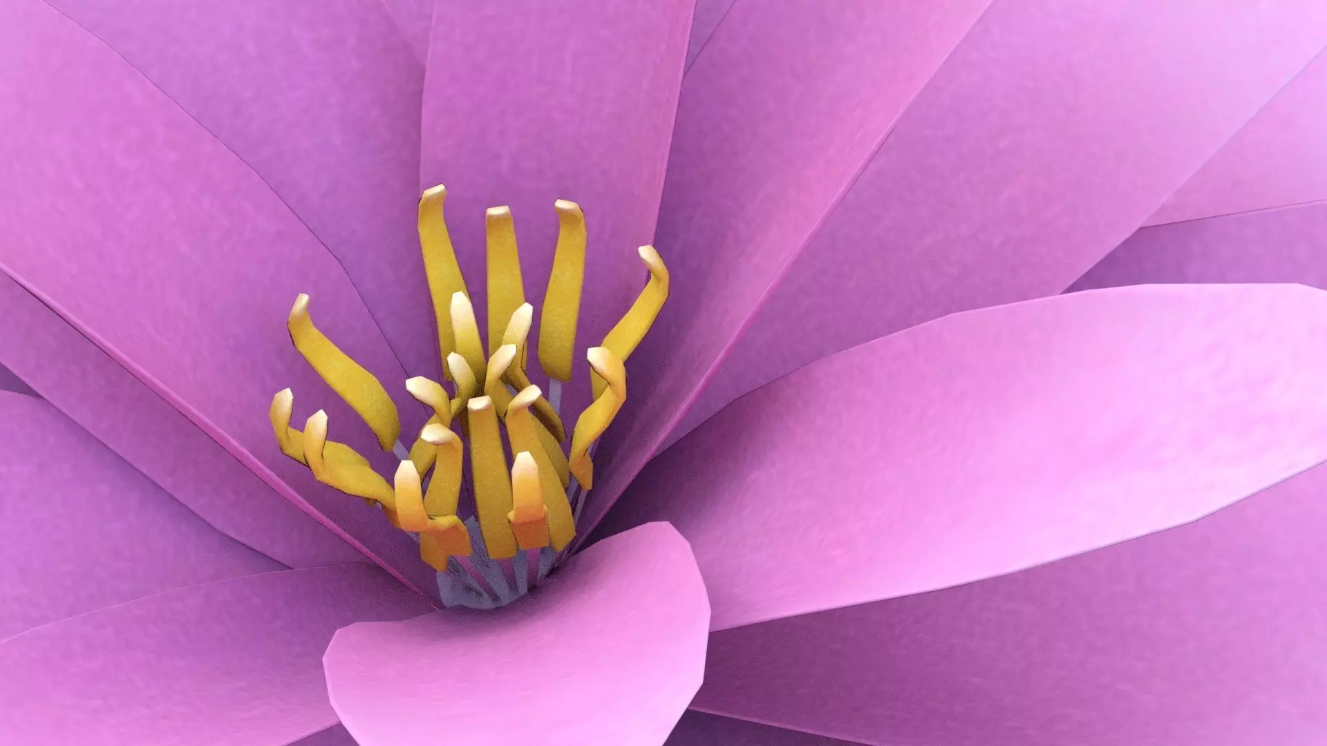 Water Lily Low-poly 3D model_3