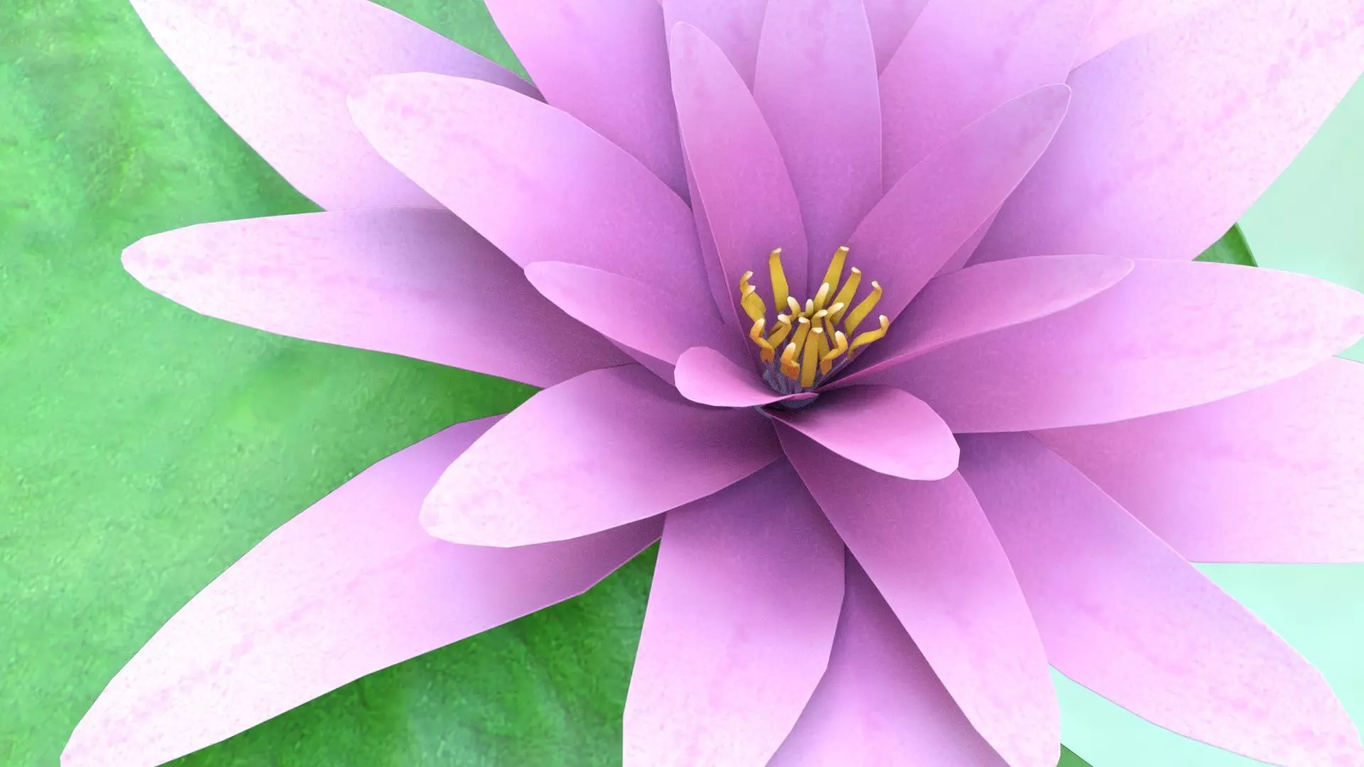 Water Lily Low-poly 3D model_4