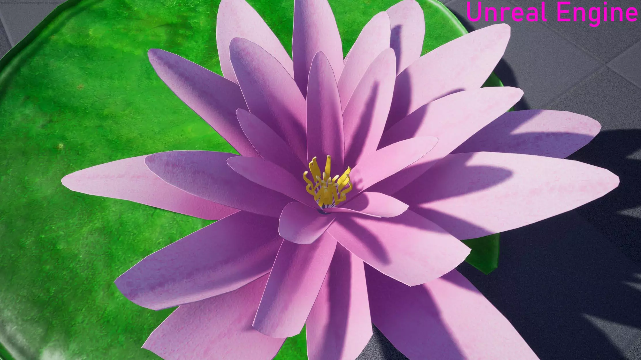 Water Lily Low-poly 3D model_11