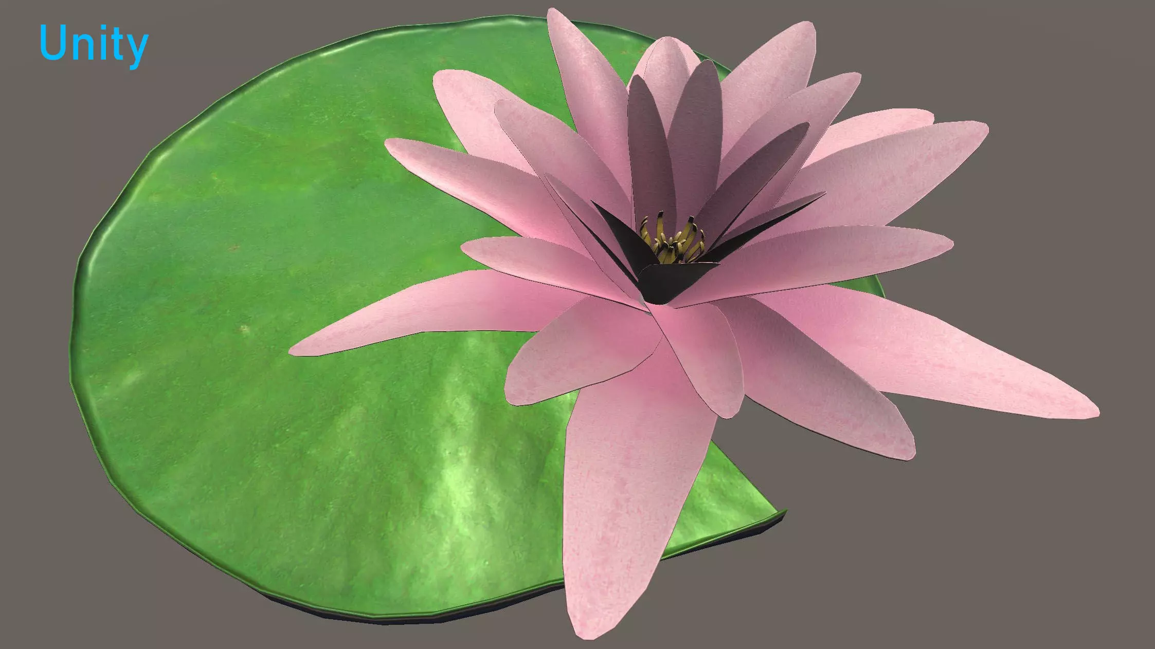 Water Lily Low-poly 3D model_7