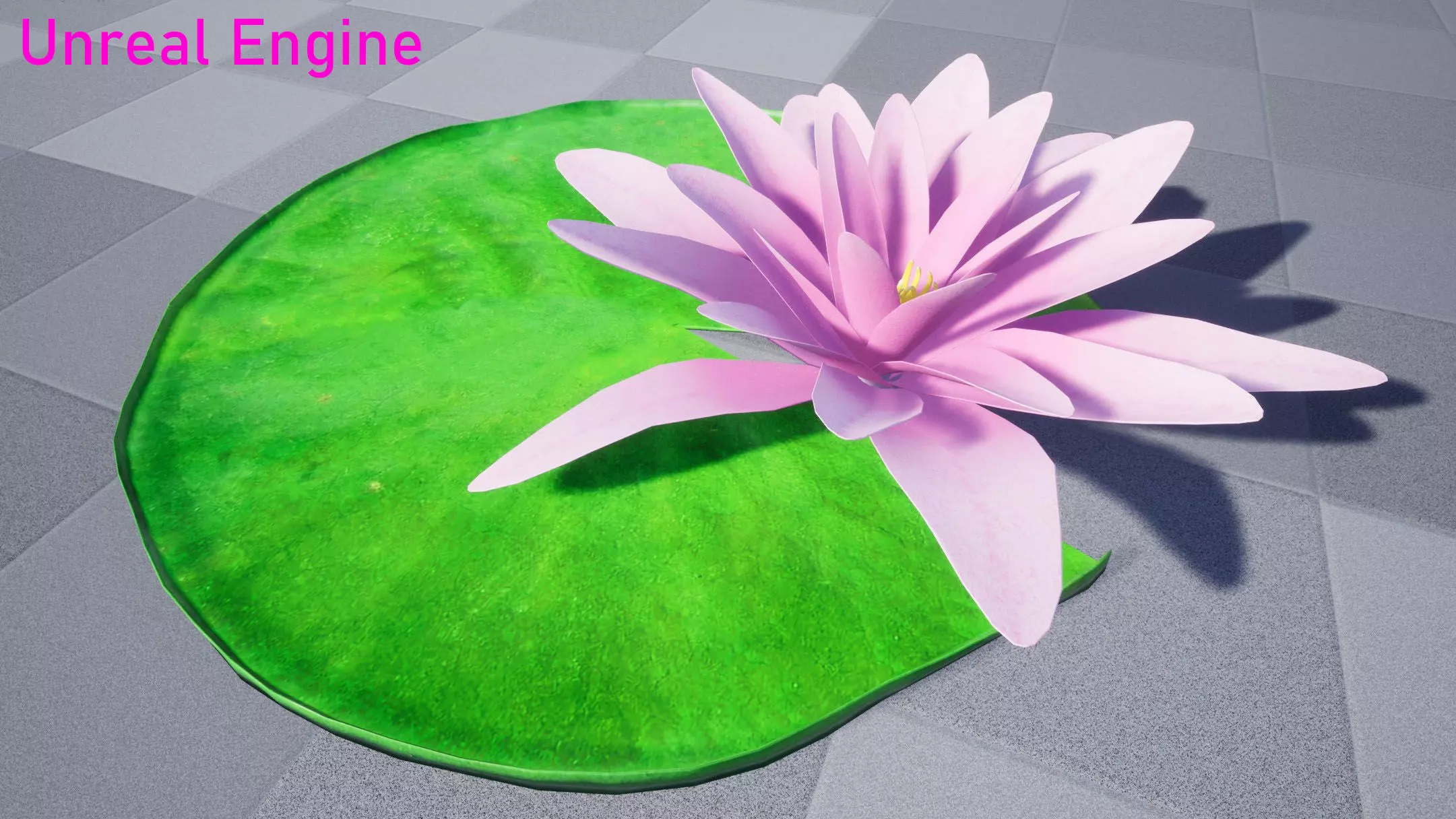 Water Lily Low-poly 3D model_10