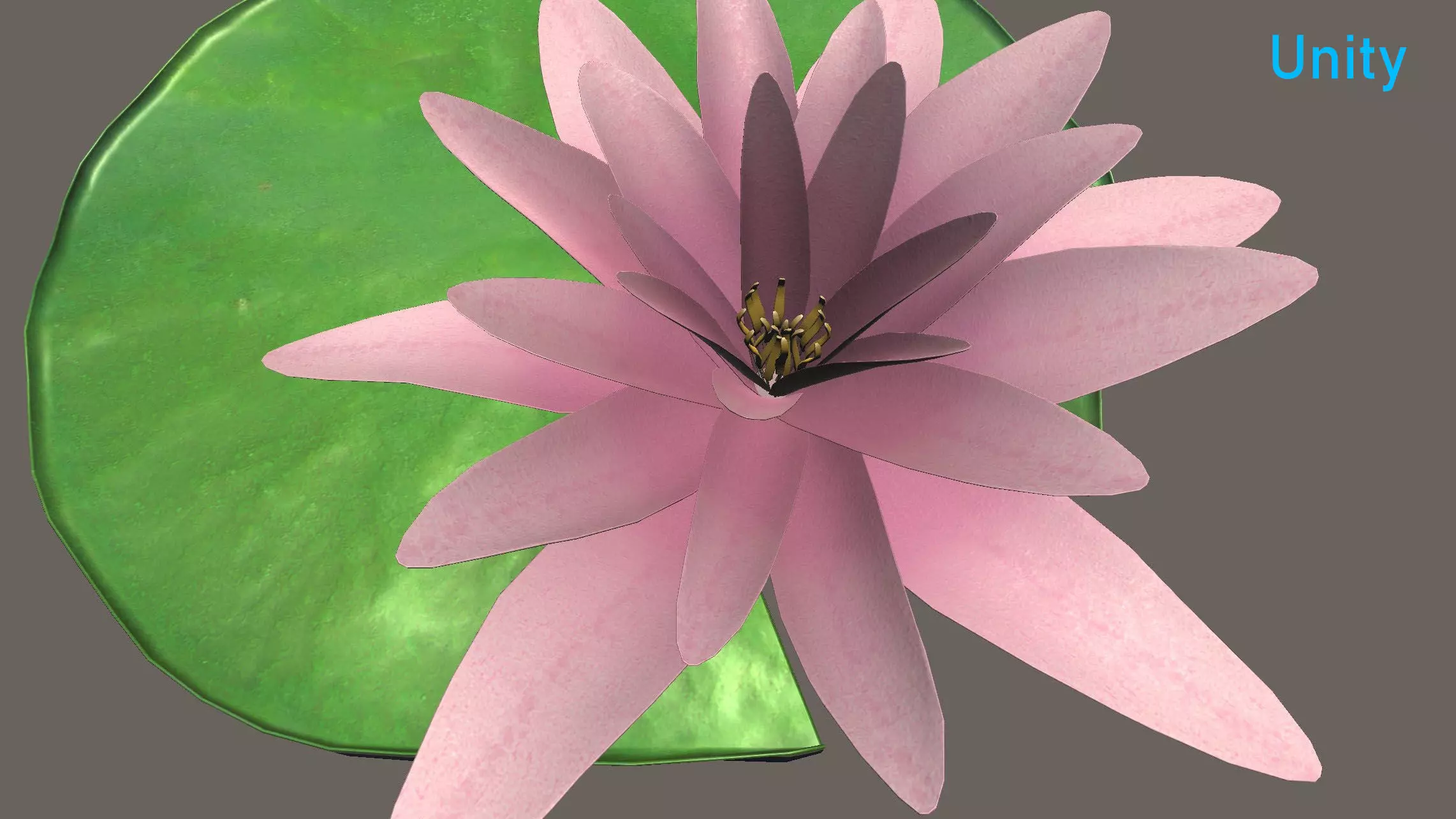 Water Lily Low-poly 3D model_9
