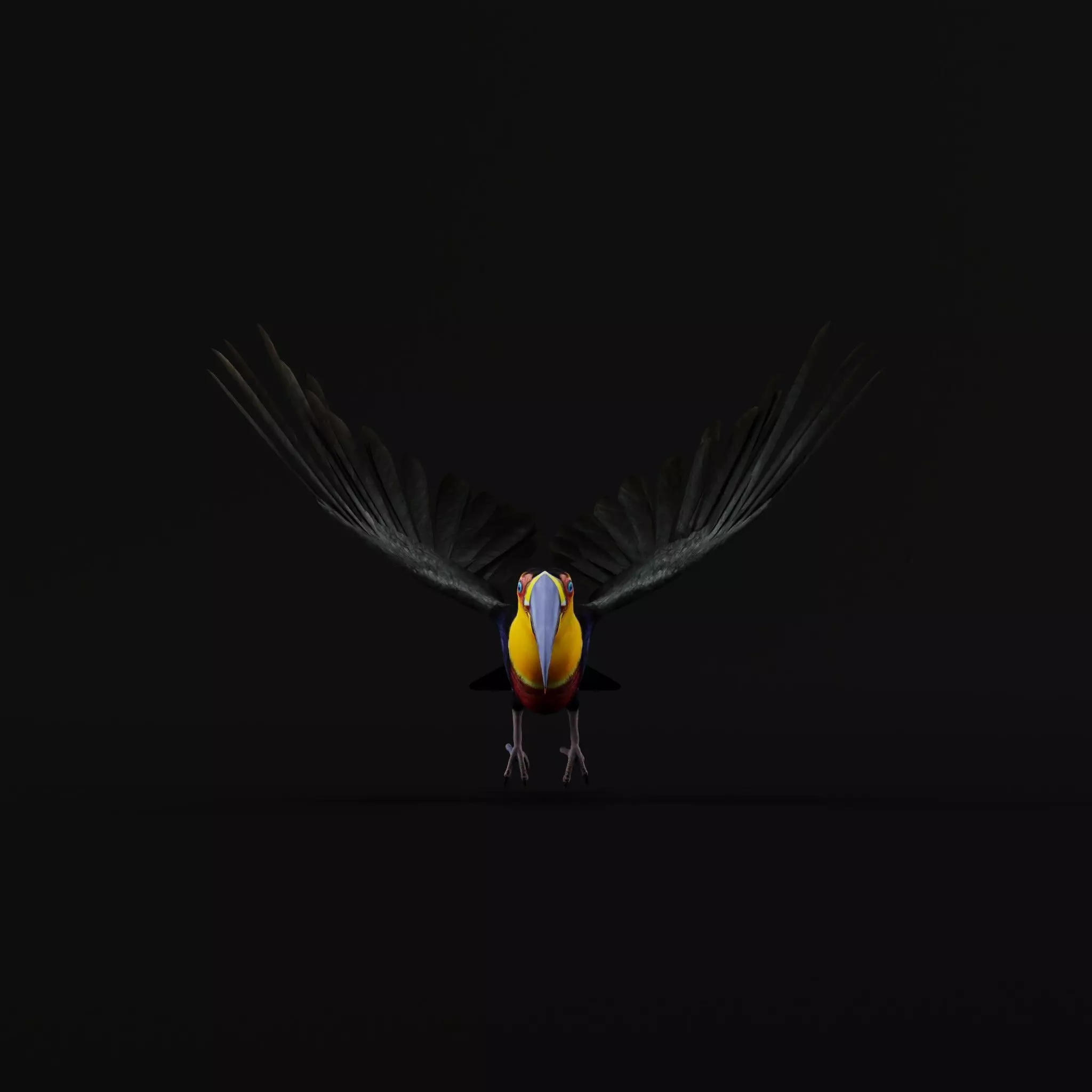 Channel Billed Toucan Bird Low-poly 3D model_38