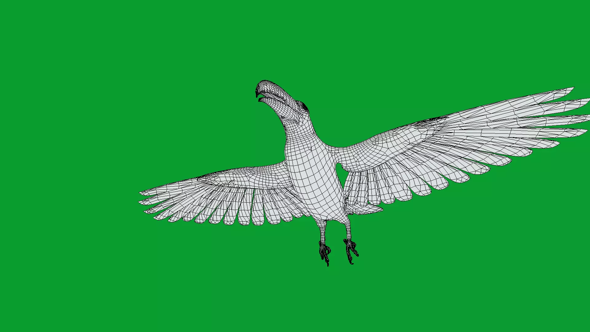 Channel Billed Toucan Bird Low-poly 3D model_9