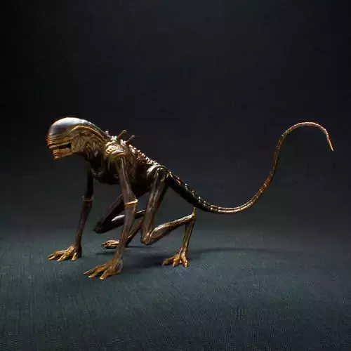 Baby Xenomorph - Alien Earth-