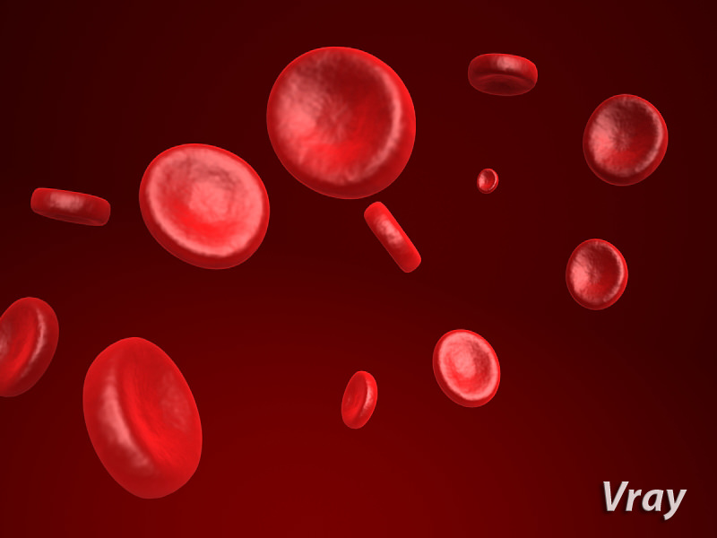 Red Blood Cell 3D model_1