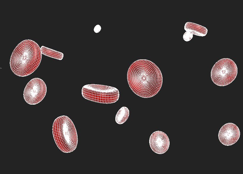 Red Blood Cell 3D model_3