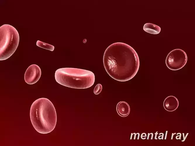 Red Blood Cell 3D model