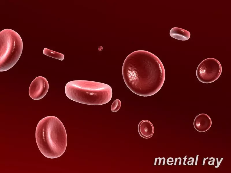 Red Blood Cell 3D model_0