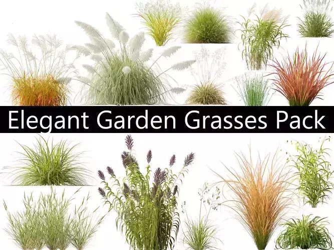 Elegant Garden Grasses Pack 38