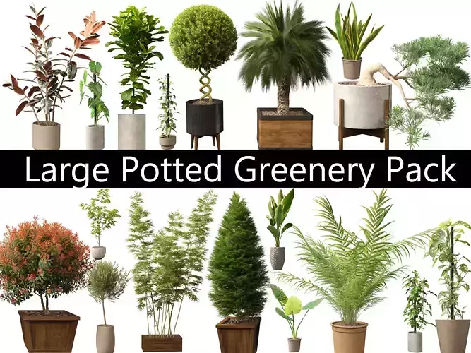 Large Potted Greenery Pack 40