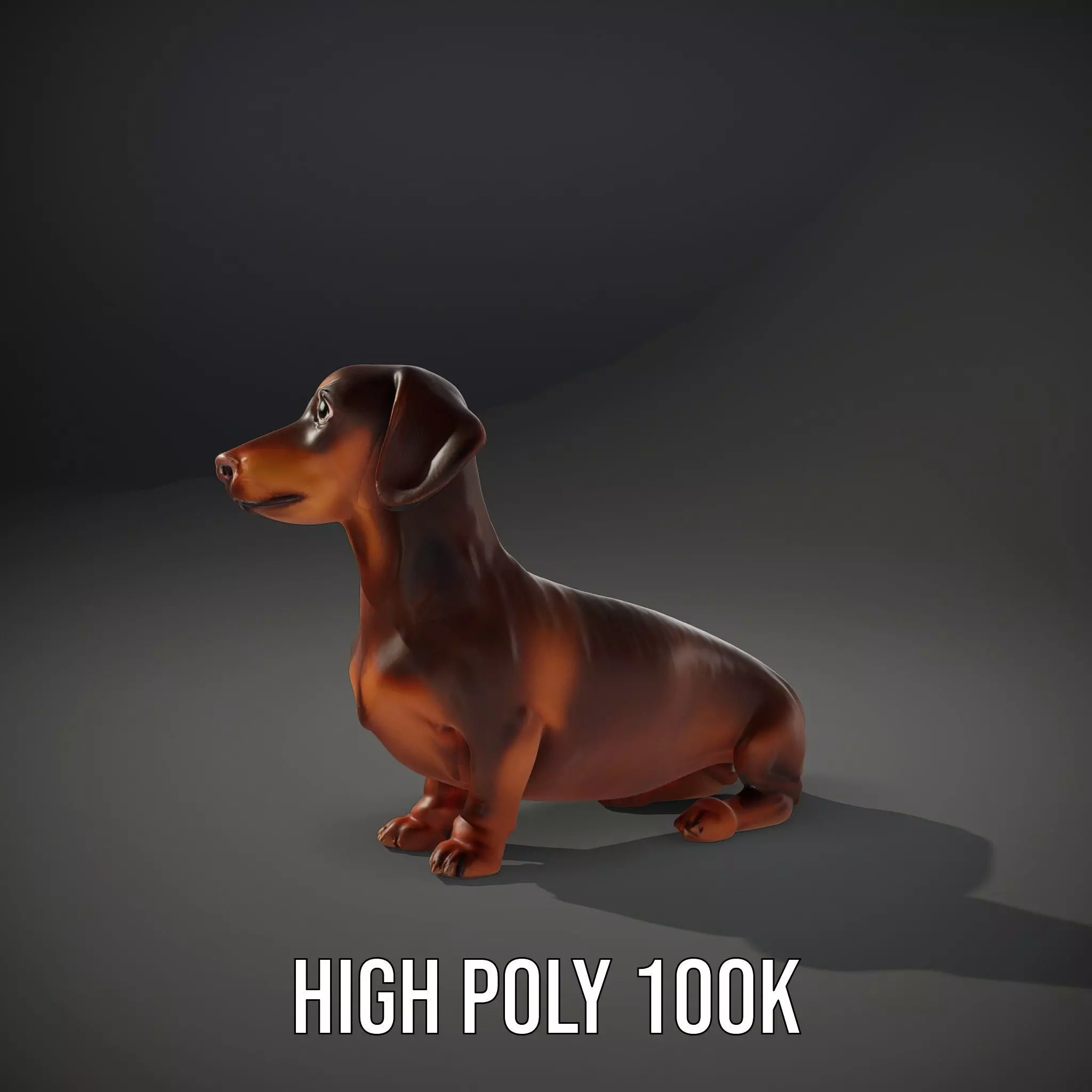 Chocolate Dachshund model pack Low-poly 3D model_10