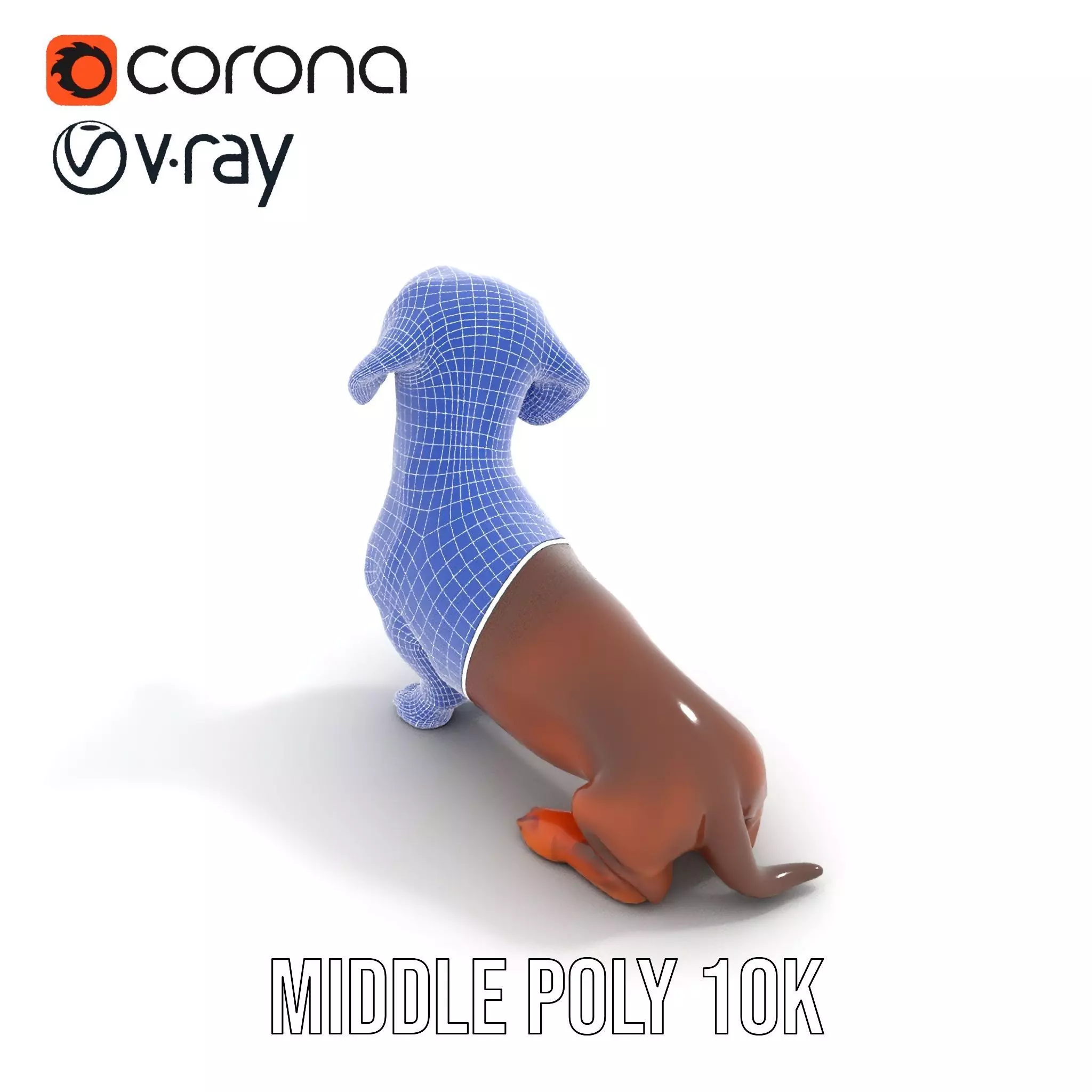 Chocolate Dachshund model pack Low-poly 3D model_21