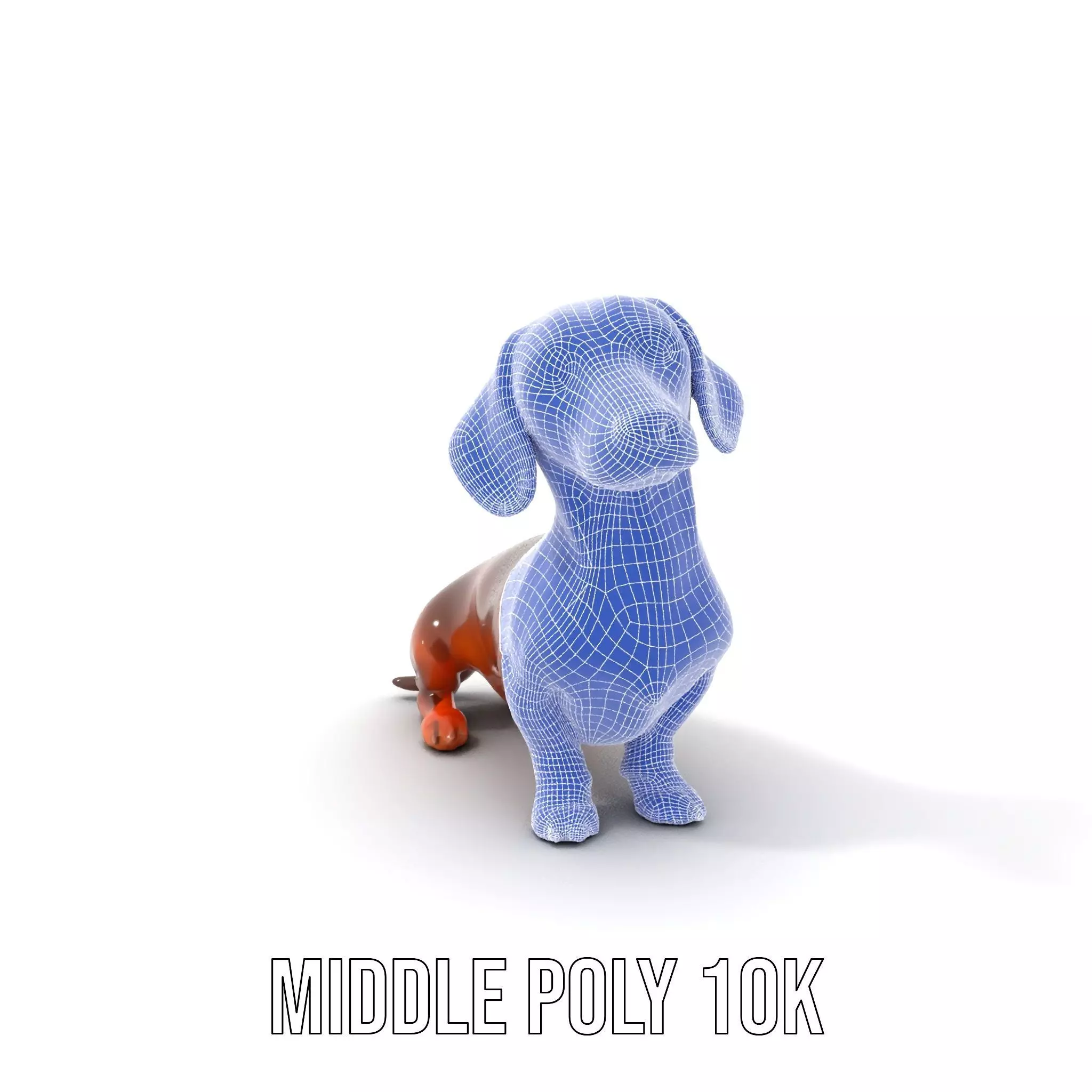 Chocolate Dachshund model pack Low-poly 3D model_13