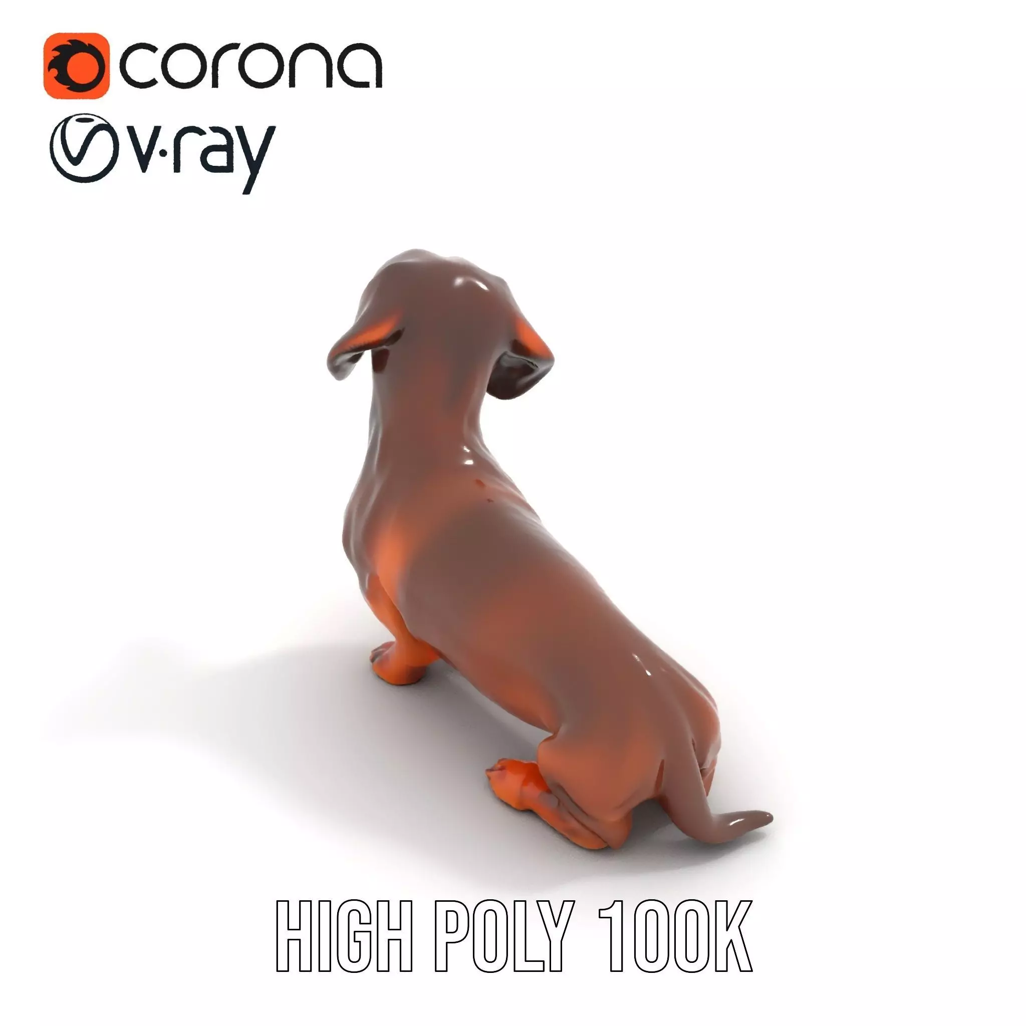 Chocolate Dachshund model pack Low-poly 3D model_20