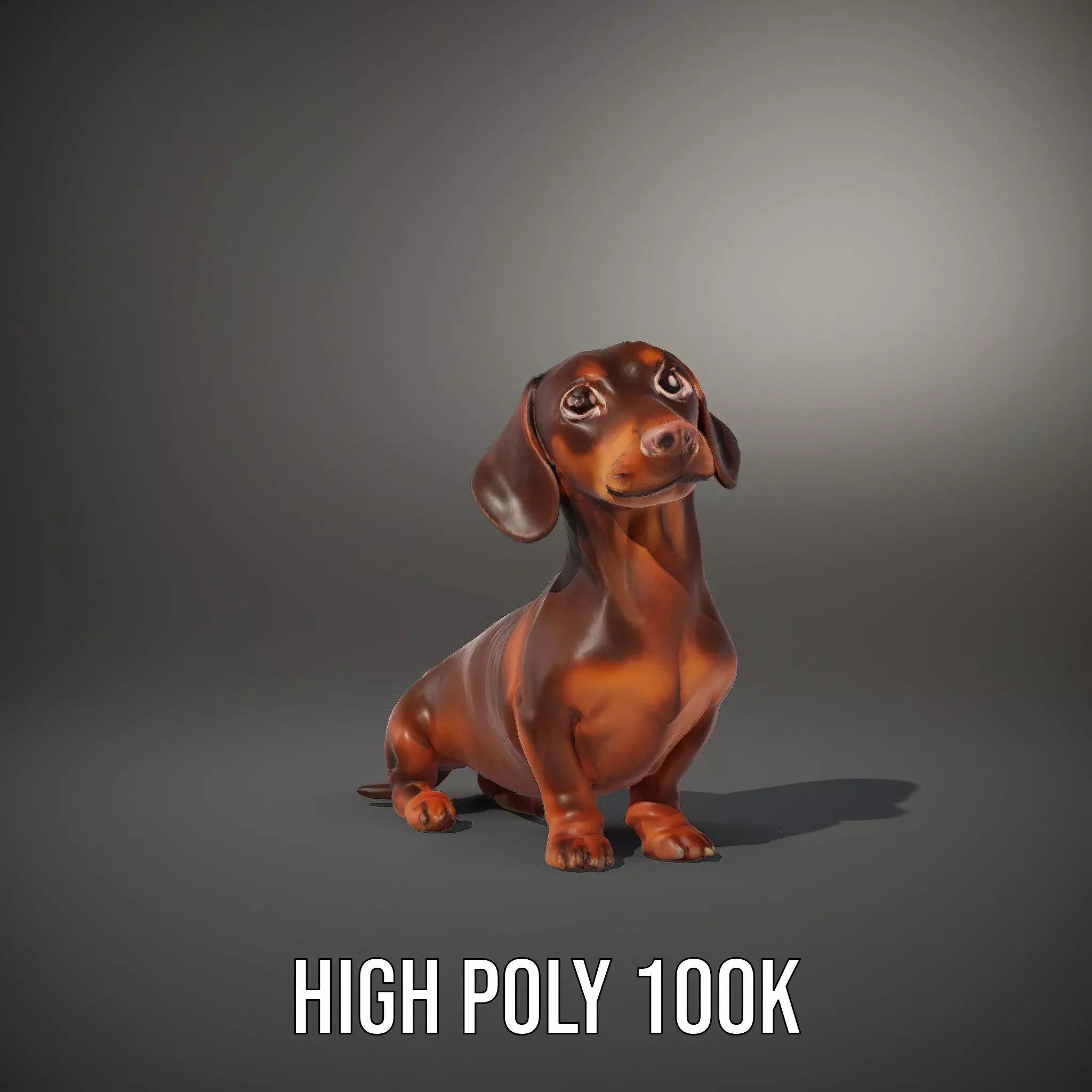 Chocolate Dachshund model pack Low-poly 3D model_8
