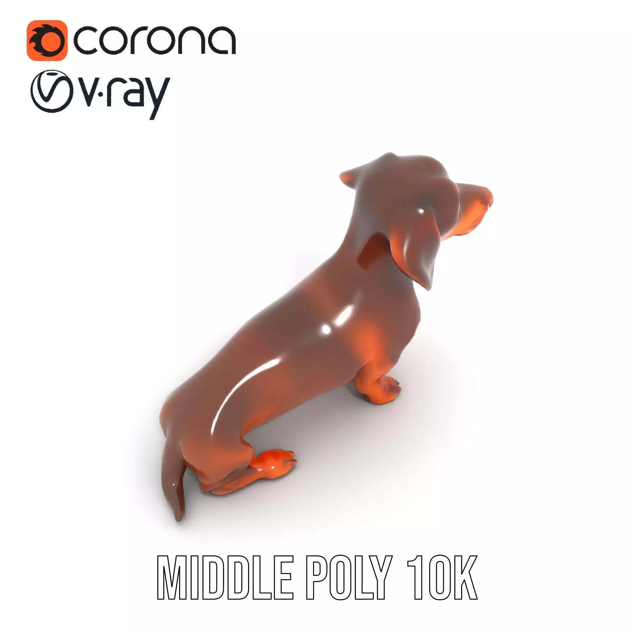 Chocolate Dachshund model pack Low-poly 3D model_5