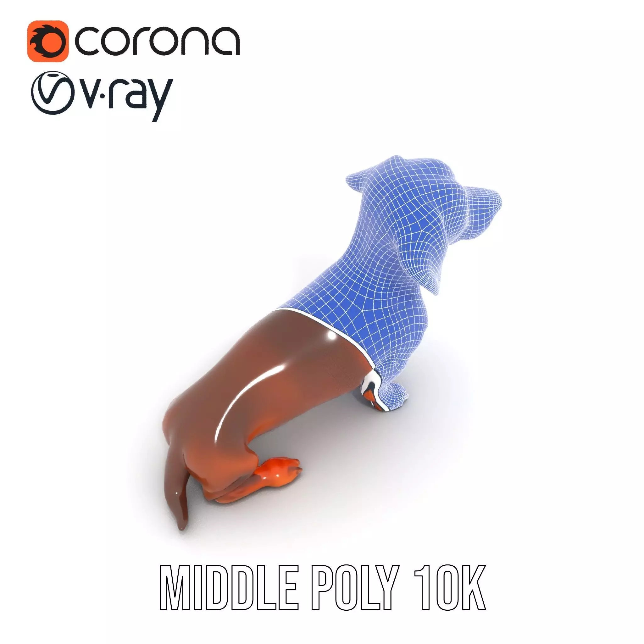 Chocolate Dachshund model pack Low-poly 3D model_24