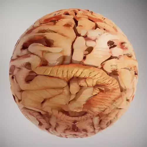 Organic Worm Surface HQ PBR Textures Set