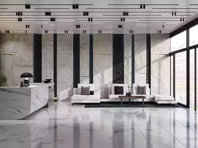 Modern Lobby  Reception Interior Design