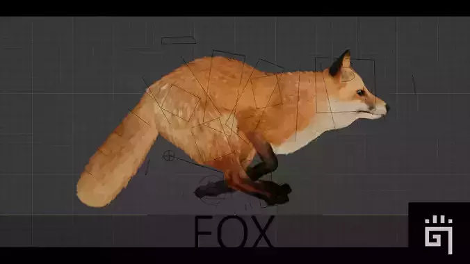 Red Fox