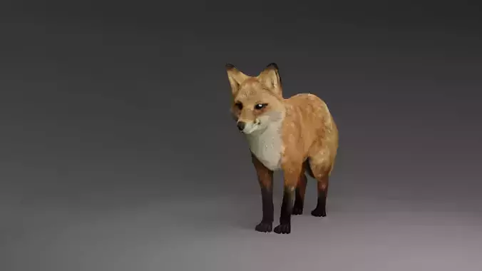 Game-Ready Fox