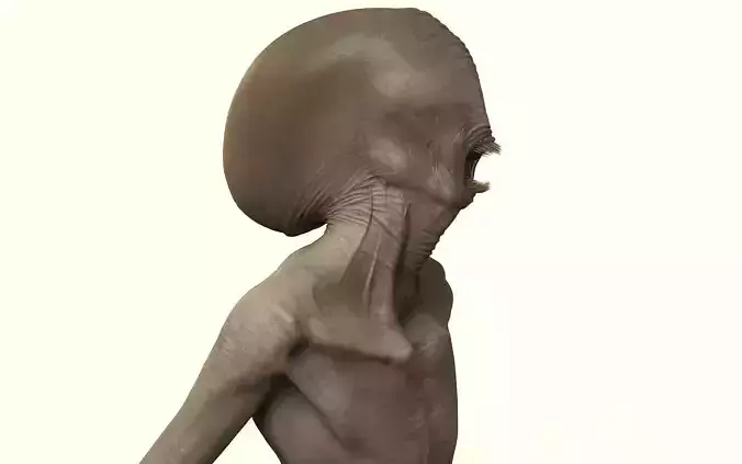 Creature Skin Color Pack - 67 Procedural Maps - Creature Artists