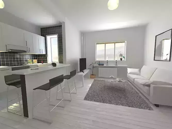 Kitchen Living Room