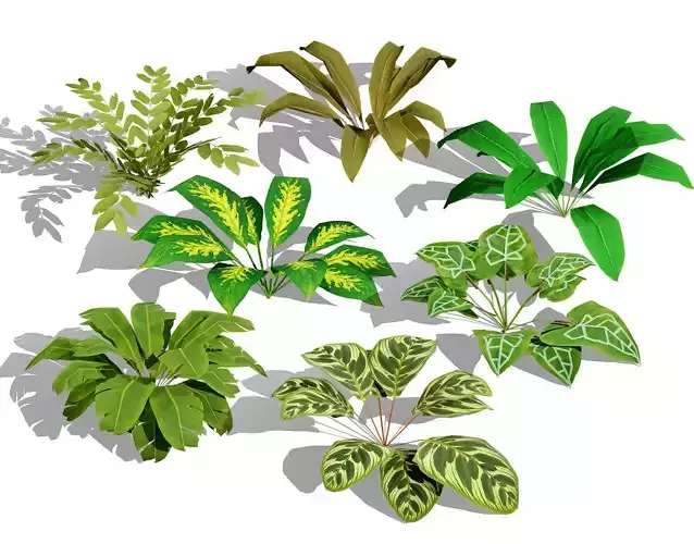 Game-Ready Tropical Plants and Foliage Collection