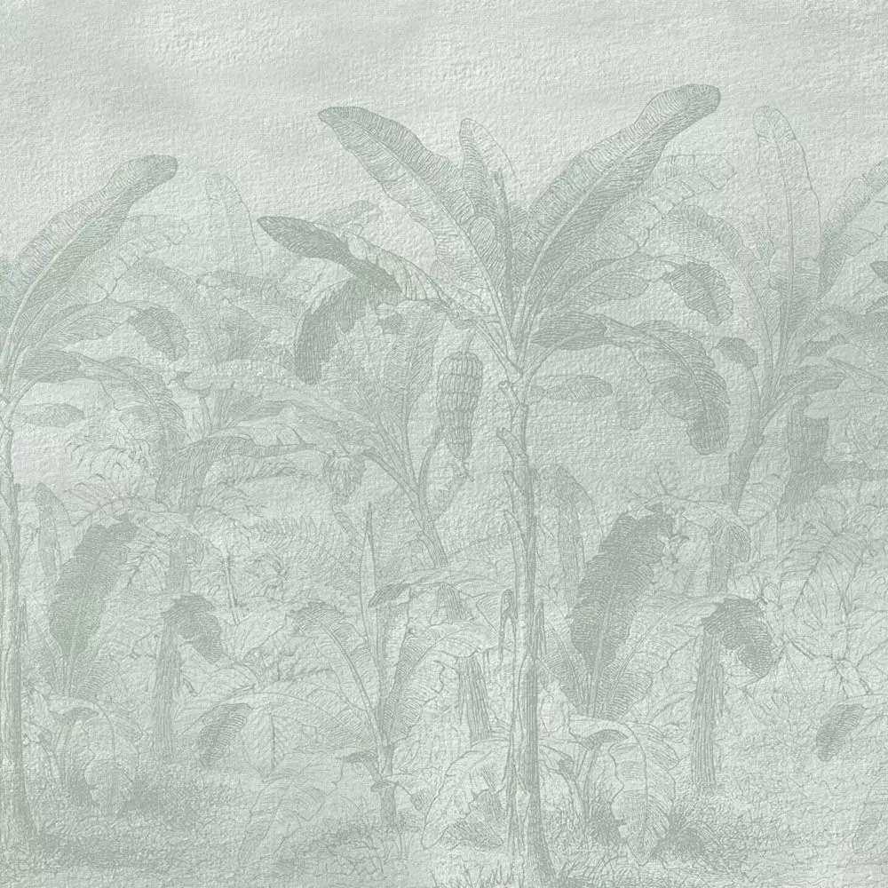 Tropical Mist Canopy Texture_2