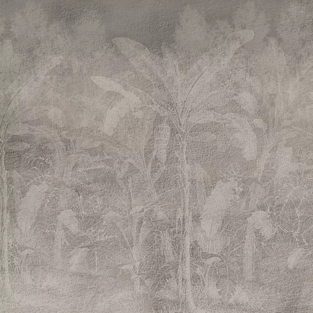 Tropical Mist Canopy Texture_4