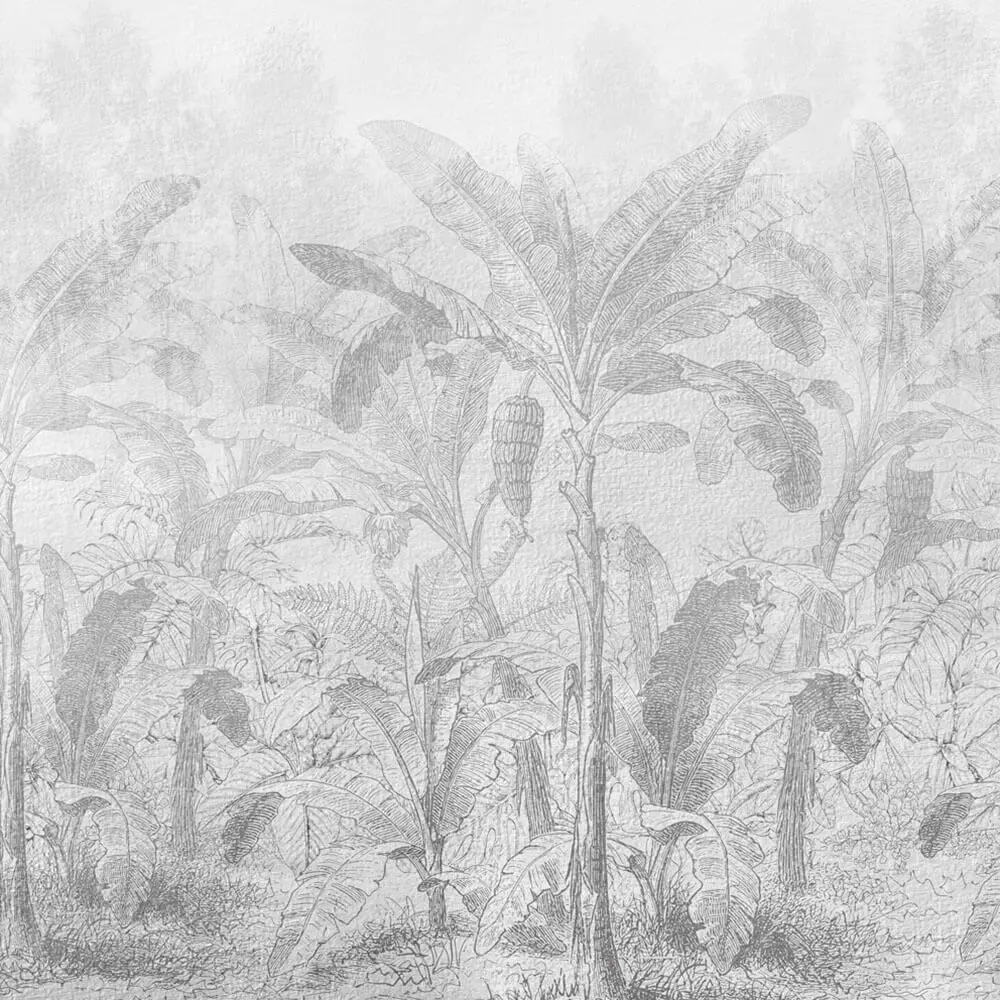 Tropical Mist Canopy Texture_1