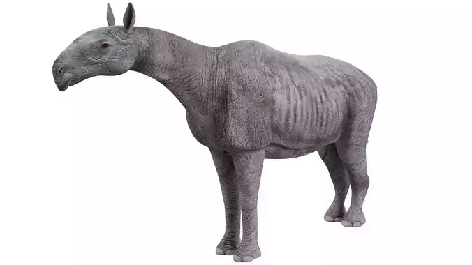 Paraceratherium