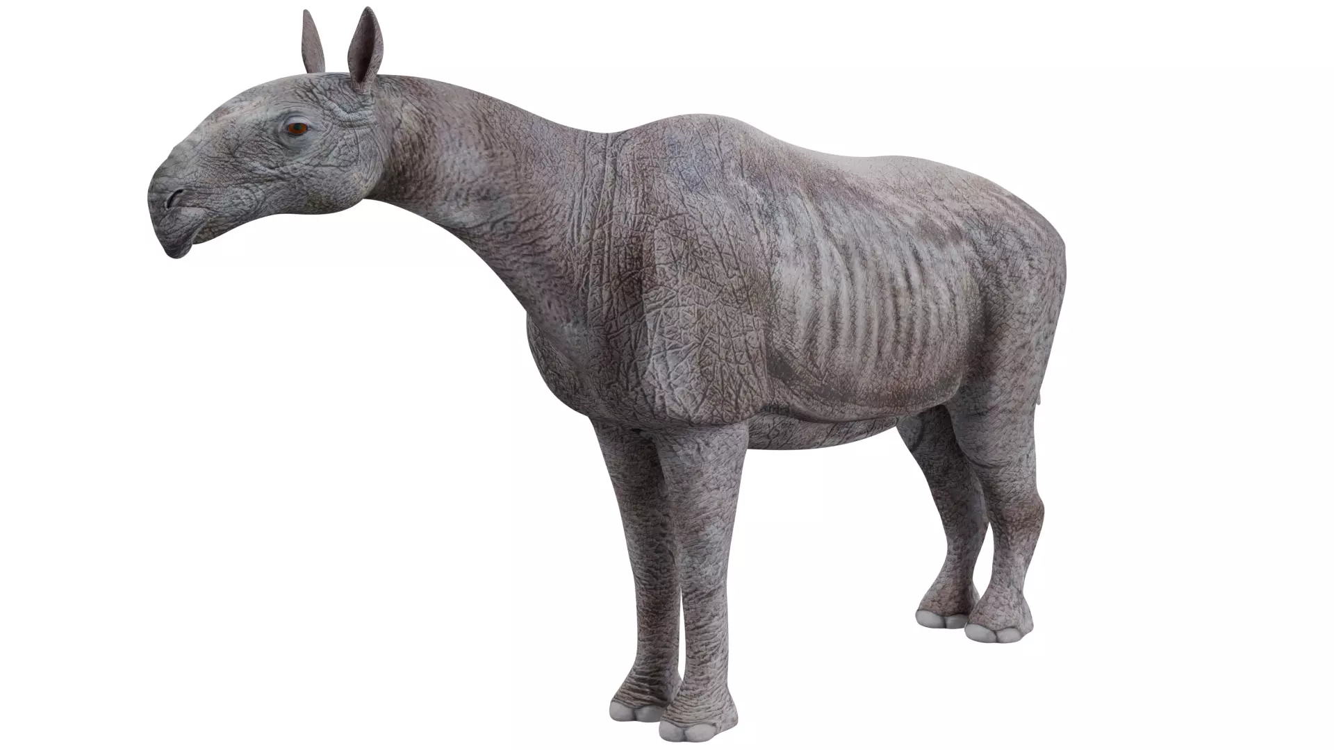 Paraceratherium 3D model_0