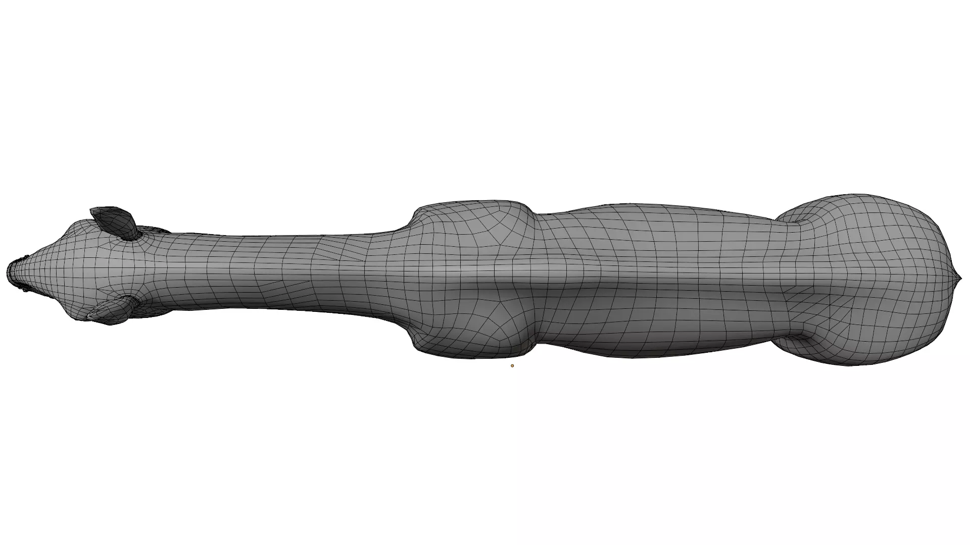 Paraceratherium 3D model_17