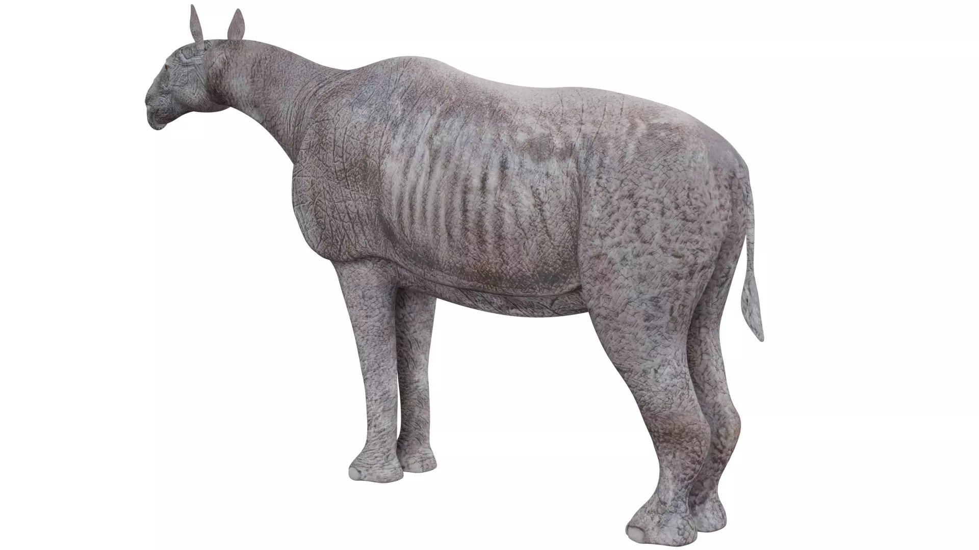Paraceratherium 3D model_2