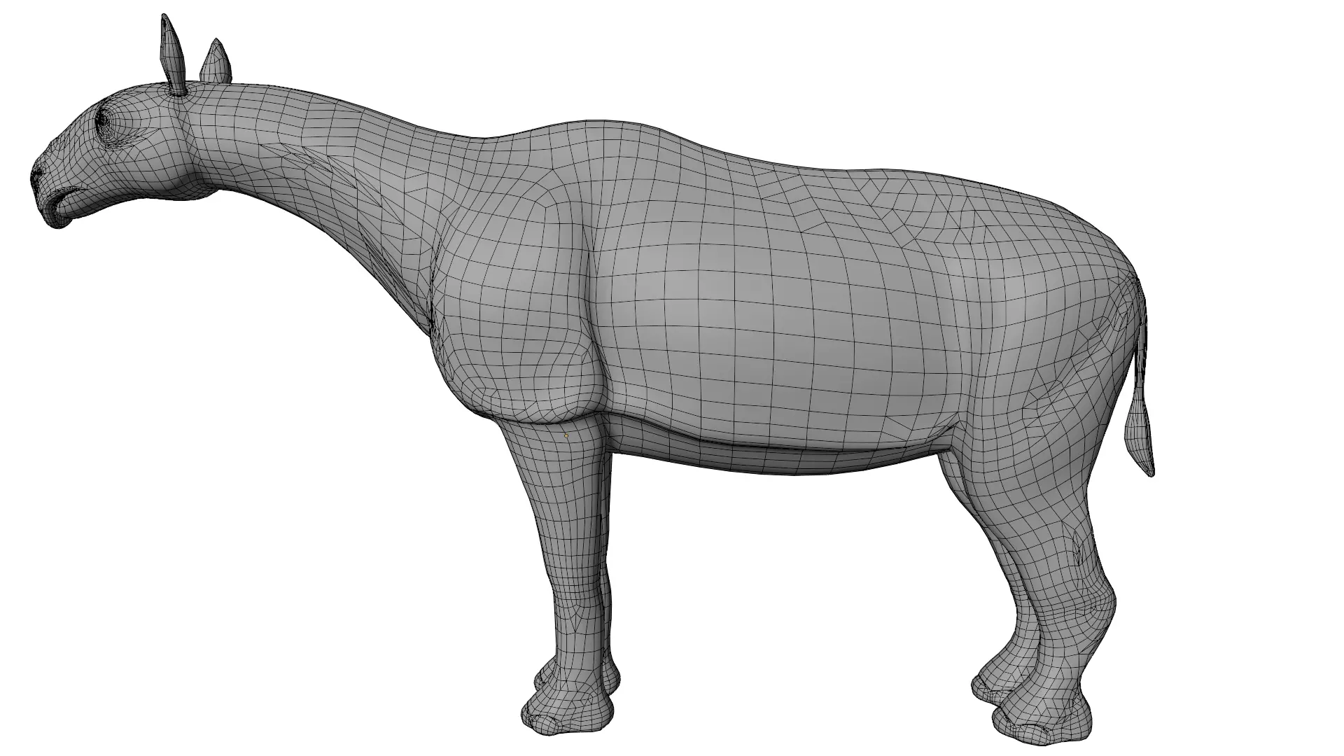 Paraceratherium 3D model_10