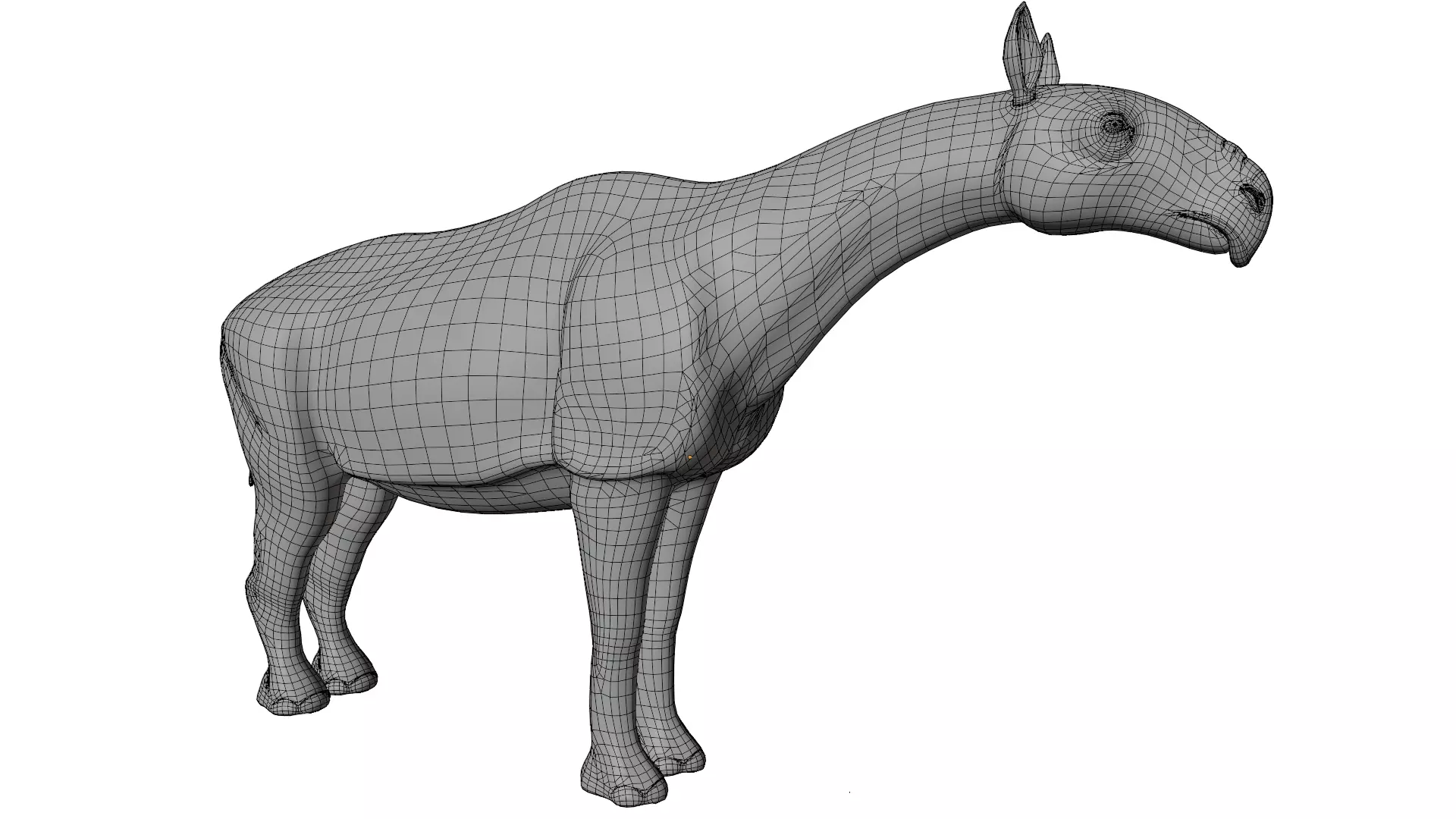 Paraceratherium 3D model_15