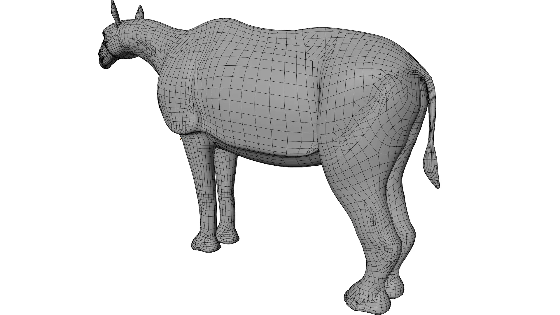 Paraceratherium 3D model_11