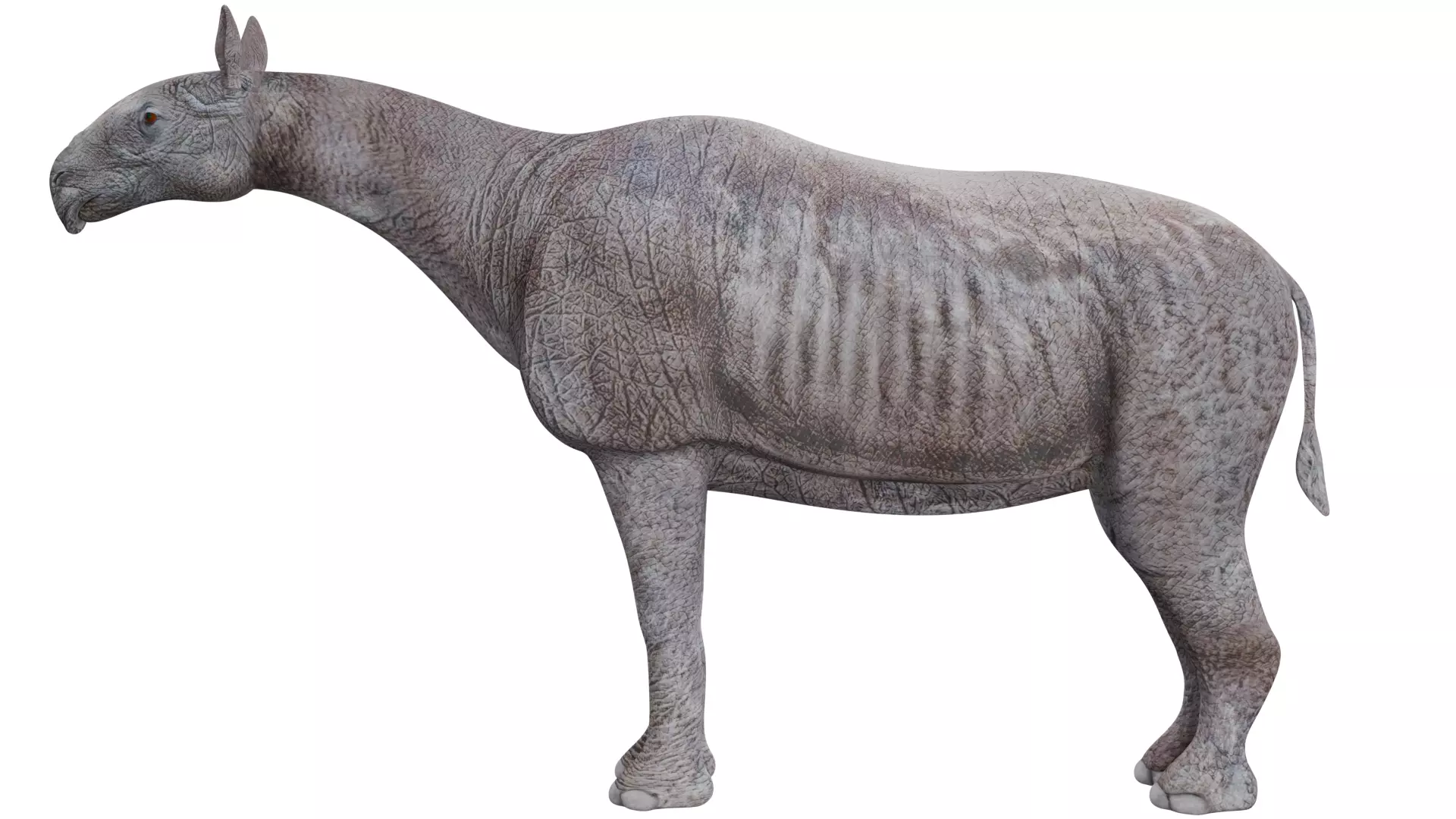 Paraceratherium 3D model_1