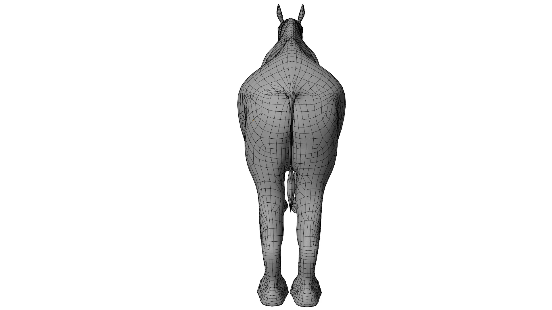 Paraceratherium 3D model_12
