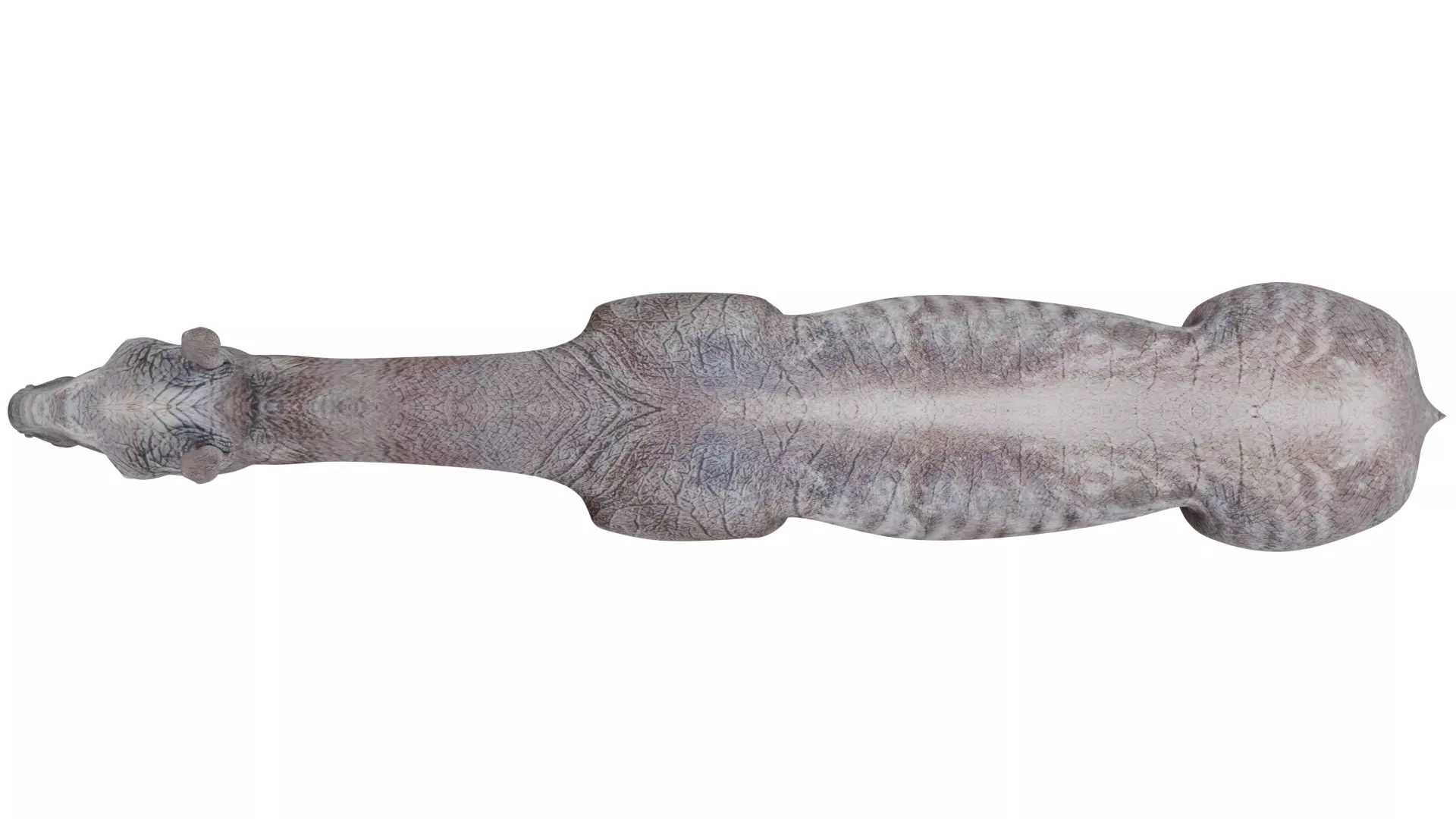 Paraceratherium 3D model_8