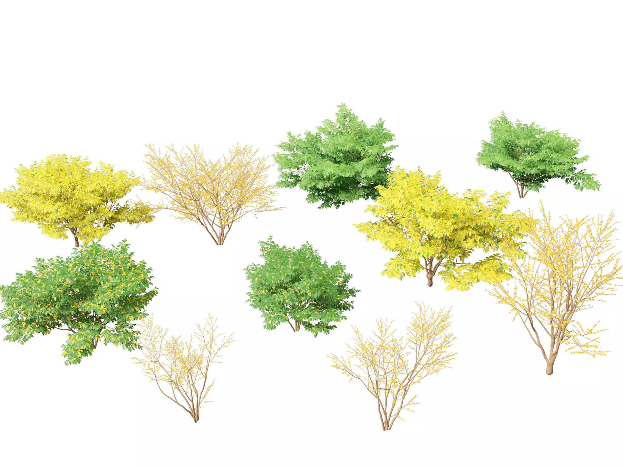 Aquatic  Wetland Plants Pack 45 3D model_20