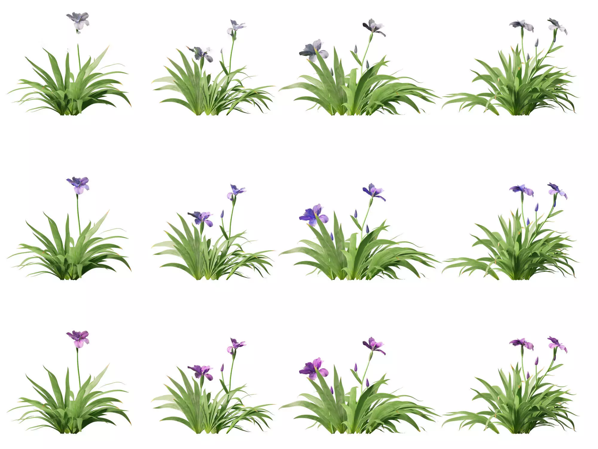 Aquatic  Wetland Plants Pack 45 3D model_14