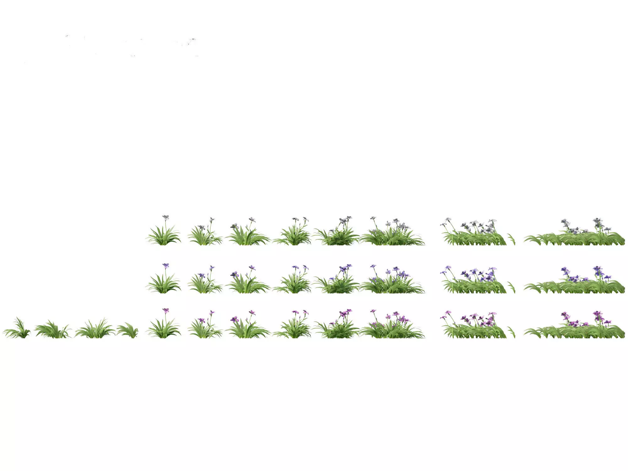 Aquatic  Wetland Plants Pack 45 3D model_13